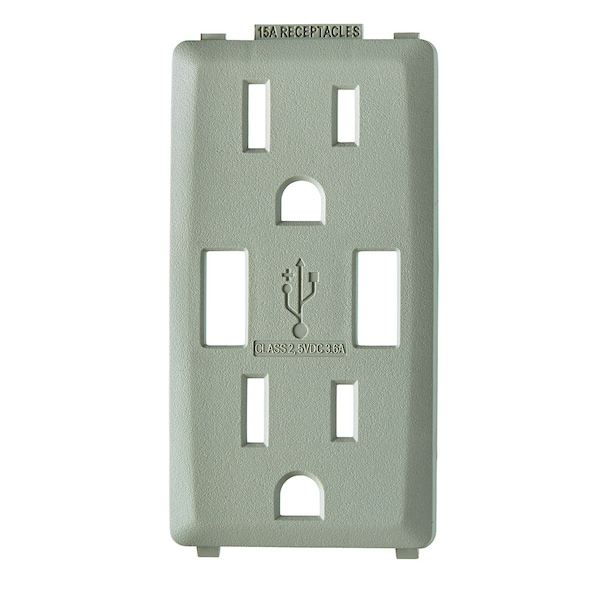 Leviton COMBINATION DEVICE SWITCH WOOD SMOKE RENU USB CHGR 20A REC FACEPL - RKAA2-WS