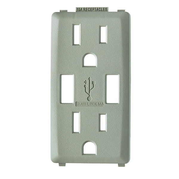 Leviton COMBINATION DEVICE SWITCH WOOD SMOKE RENU USB CHRGER 15A REC FCPLT - RKAA1-WS