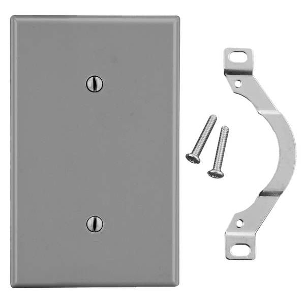 Hubbell Blank Strap Mount Wall Plate, Number of Gangs: 1 Plastic, Smooth Finish, Gray - P14GY
