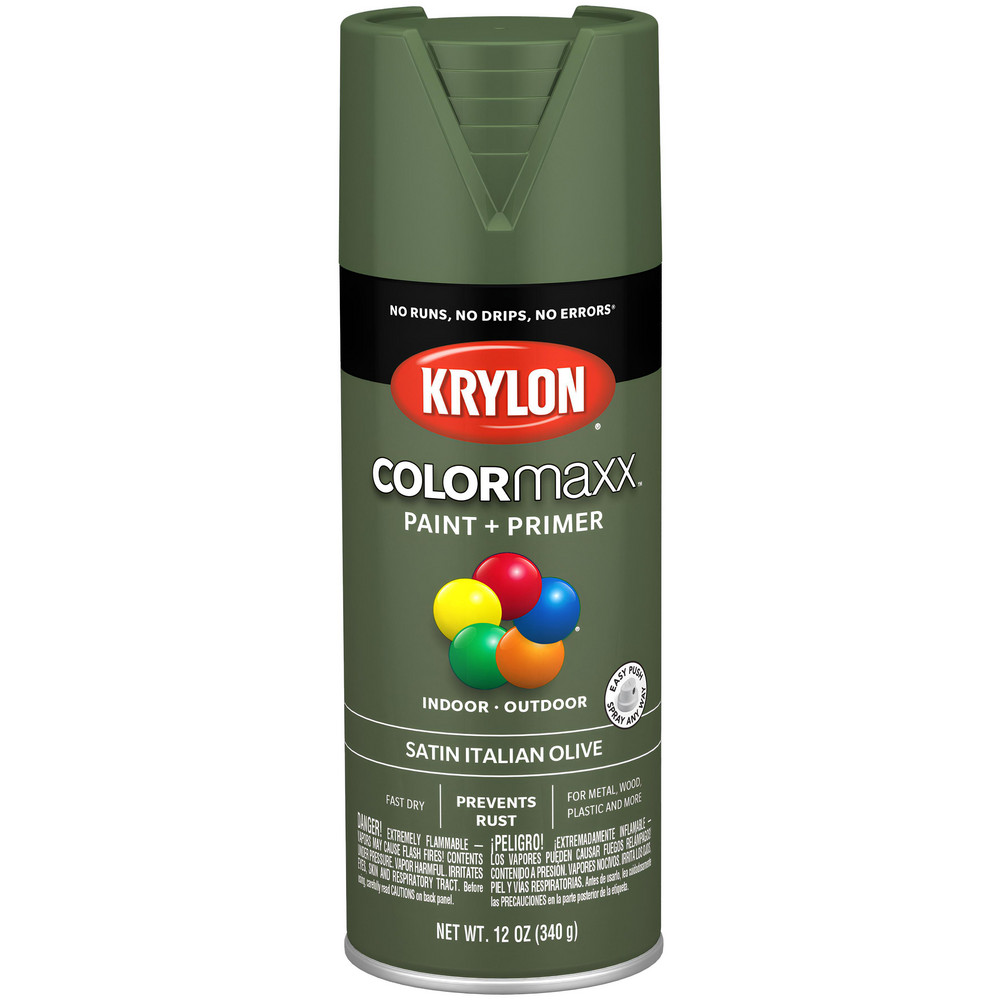 Krylon Acrylic Enamel Spray Paint: Sea Green, Matte, 12 oz - K02762007