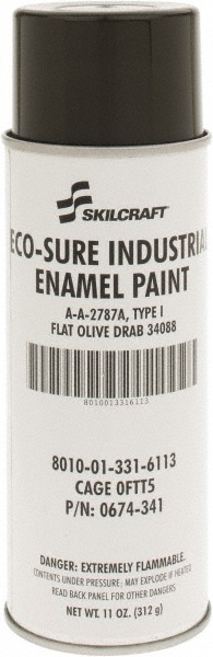 Krylon Acrylic Enamel Spray Paint: Sea Green, Matte, 12 oz - K02762007