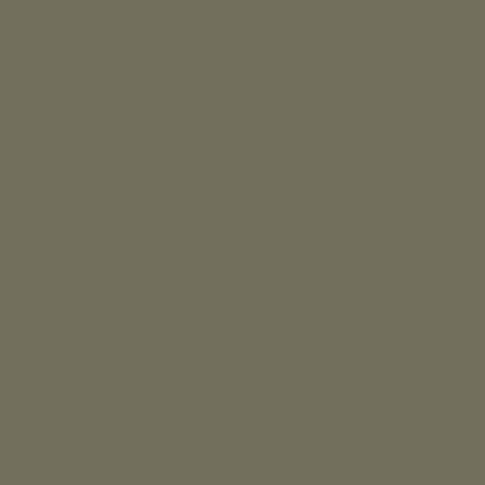 Made in USA 5GL EXCLIPSE INT LATEX GLOSS PAINT - 650867583SW6166