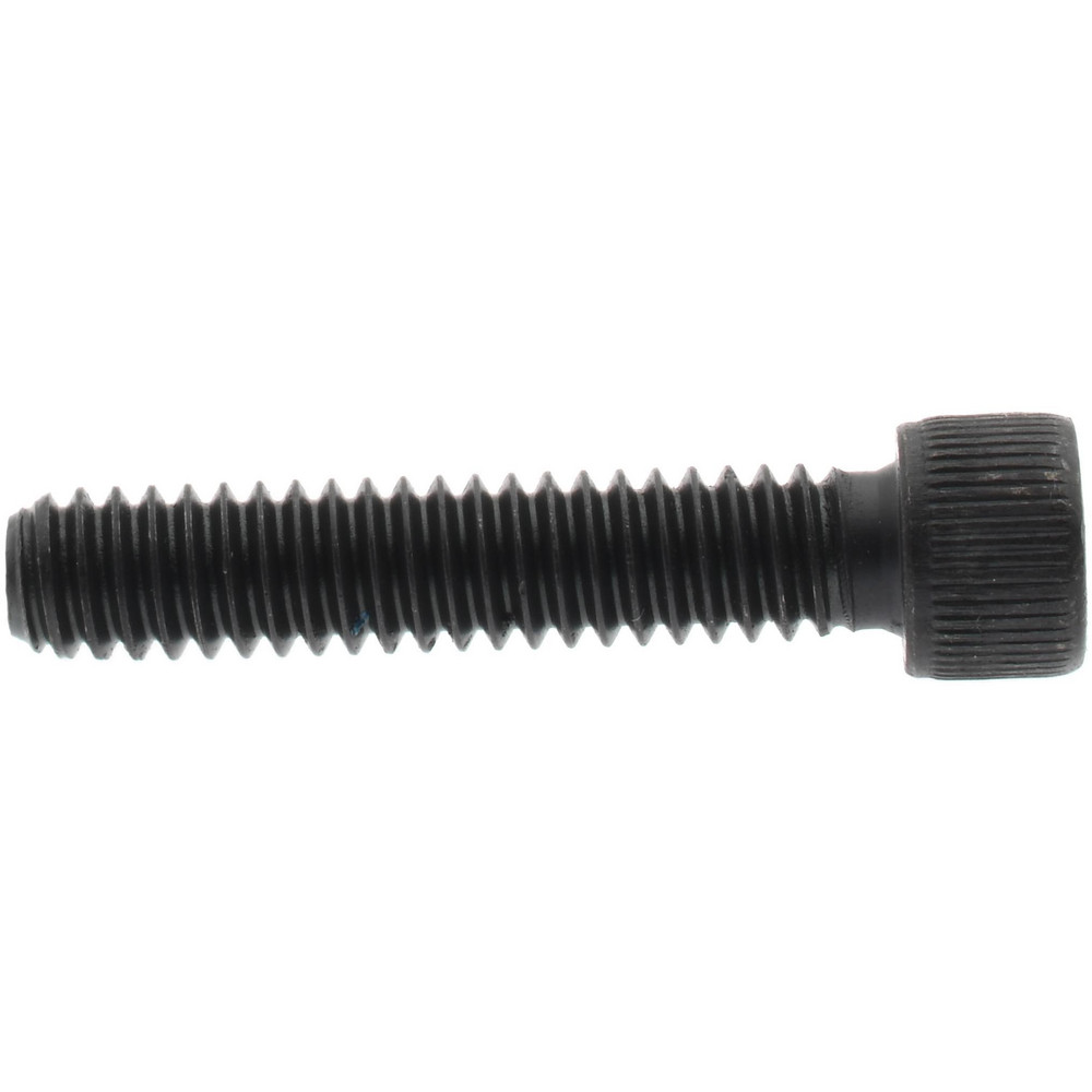 Wooster Brush Paint Brush: 3" Wide, Synthetic, Synthetic Bristle - 4174-3