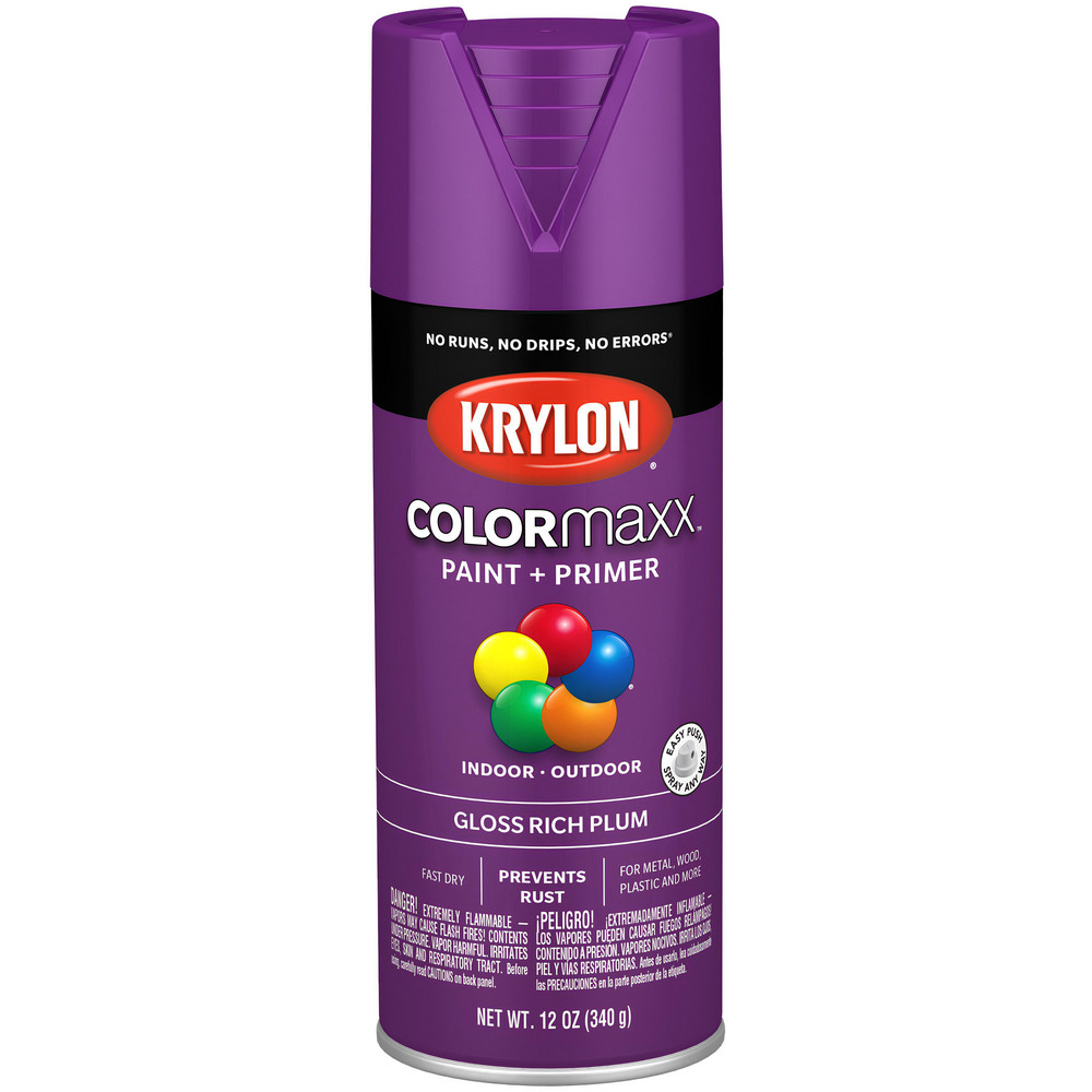 Krylon Acrylic Enamel Spray Paint: Purple, Gloss, 12 oz - K02719007