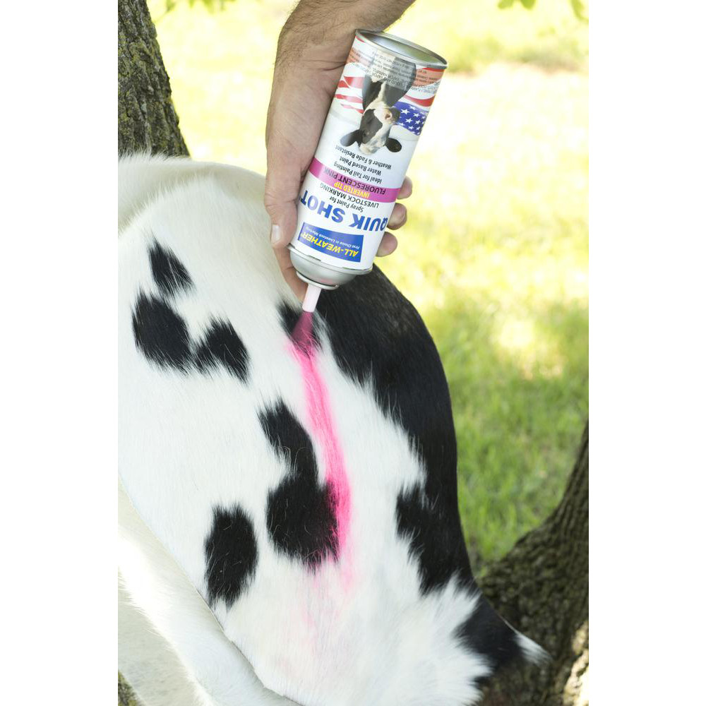 All-Weather Spray Paint: Red, Flat, 16 oz Net Fill, Water-Based Aerosol - 61191