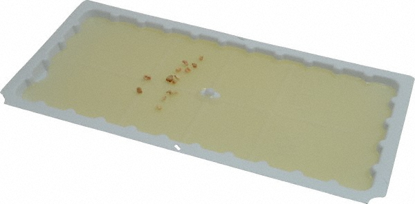 J.T. Eaton 72 Qty 1 Pack Prebaited Glue Trap for Use on Mice - 182