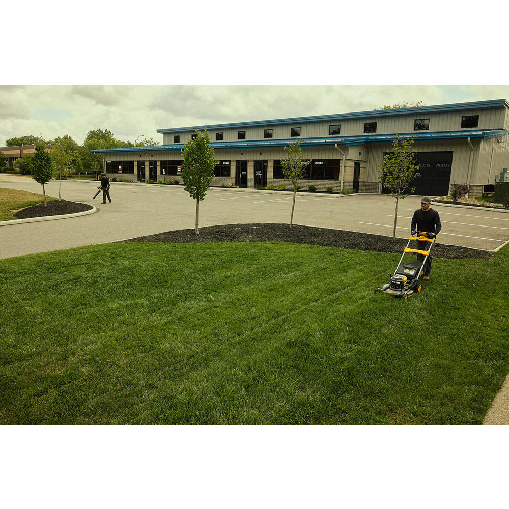 DeWALT Lawn Mowers: Mower Type: Walk Behind; Power Type: Battery; Cutting Width: 21 in - DCMWSP700Y2