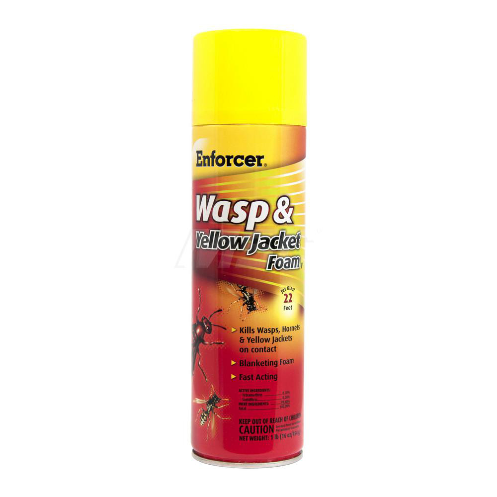 Dymon Insecticide for Hornets & Wasps: 12 oz, Aerosol Can - 18320