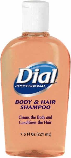 Dial Body Wash, Spring Water Scent, 16 oz, 6/Carton - DIA02653