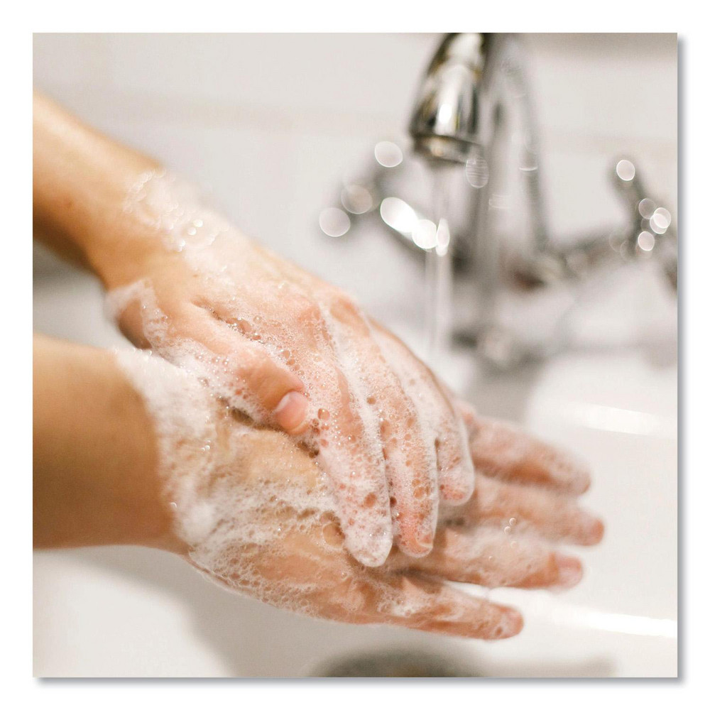 Dial Antibacterial Foaming Hand Wash Refill, Plus Aloe, Original Scent, 1 gal, 4/Carton - DIA35452