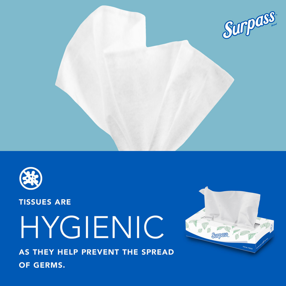 Surpass Surpass® Facial Tissue (21340), 2-Ply, White, Ecologo, Flat Facial Tissue Boxes for Business - 21340