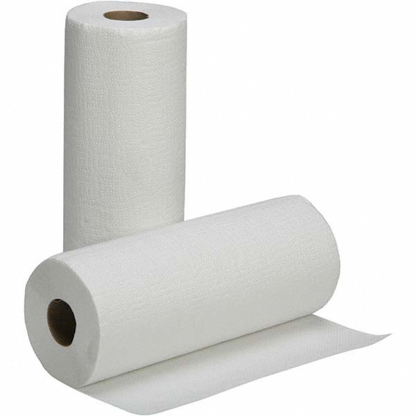 Scott Kitchen Paper Towels (41482), with Fast-Drying Absorbency Pockets™, White, Perforated Standard Paper Towel Rolls - 41482