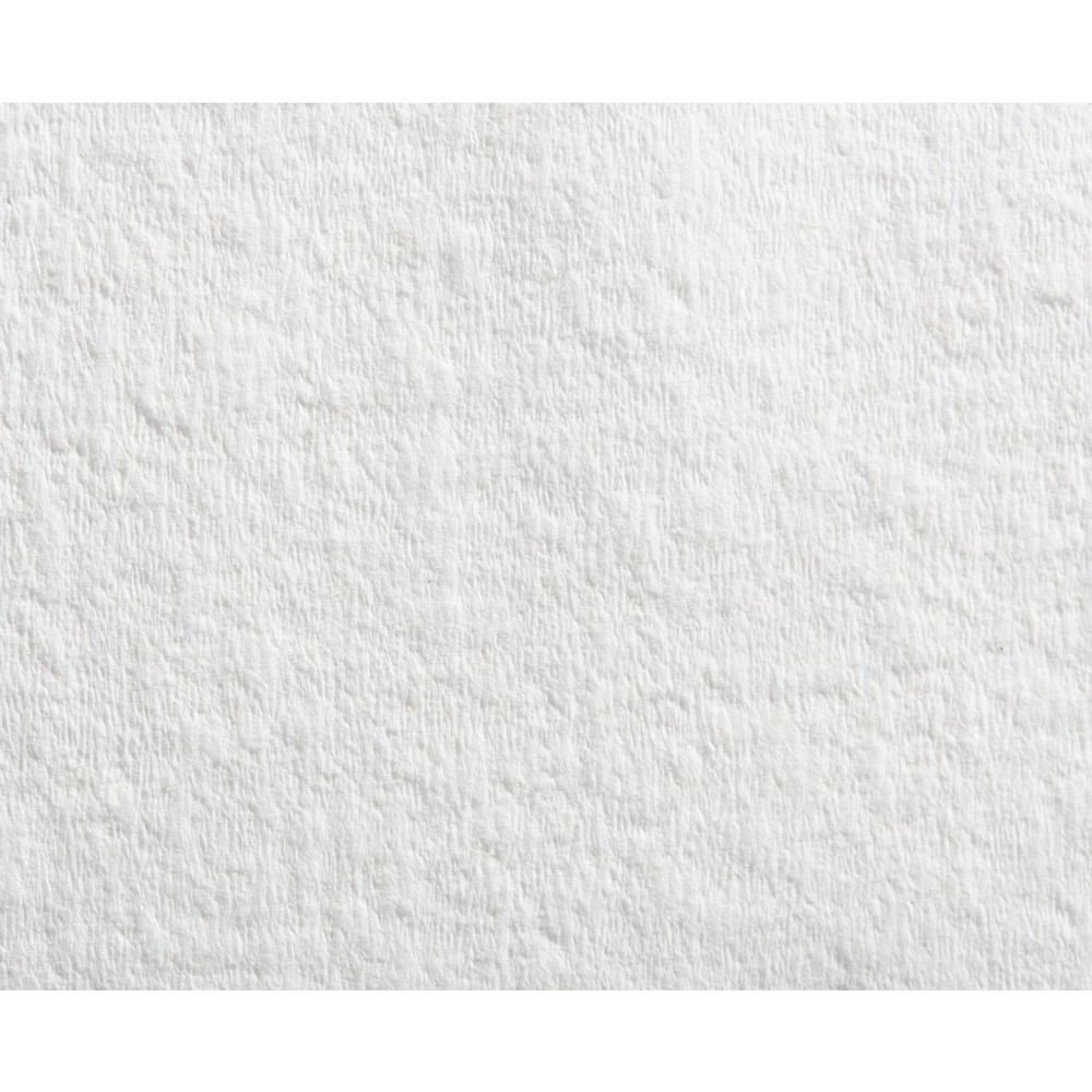 Brawny Professional Brawny Professional D300 Disposable Shop Towel Refills For 59465 Dispenser, White - 20035