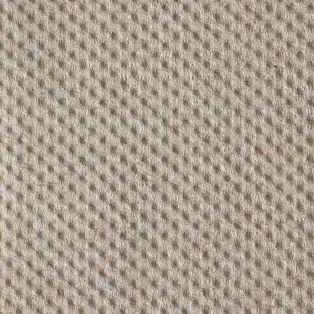 Georgia Pacific Pacific Blue Basic Recycled Hardwound Paper Towel Roll (Previously Envision), Brown - 26301
