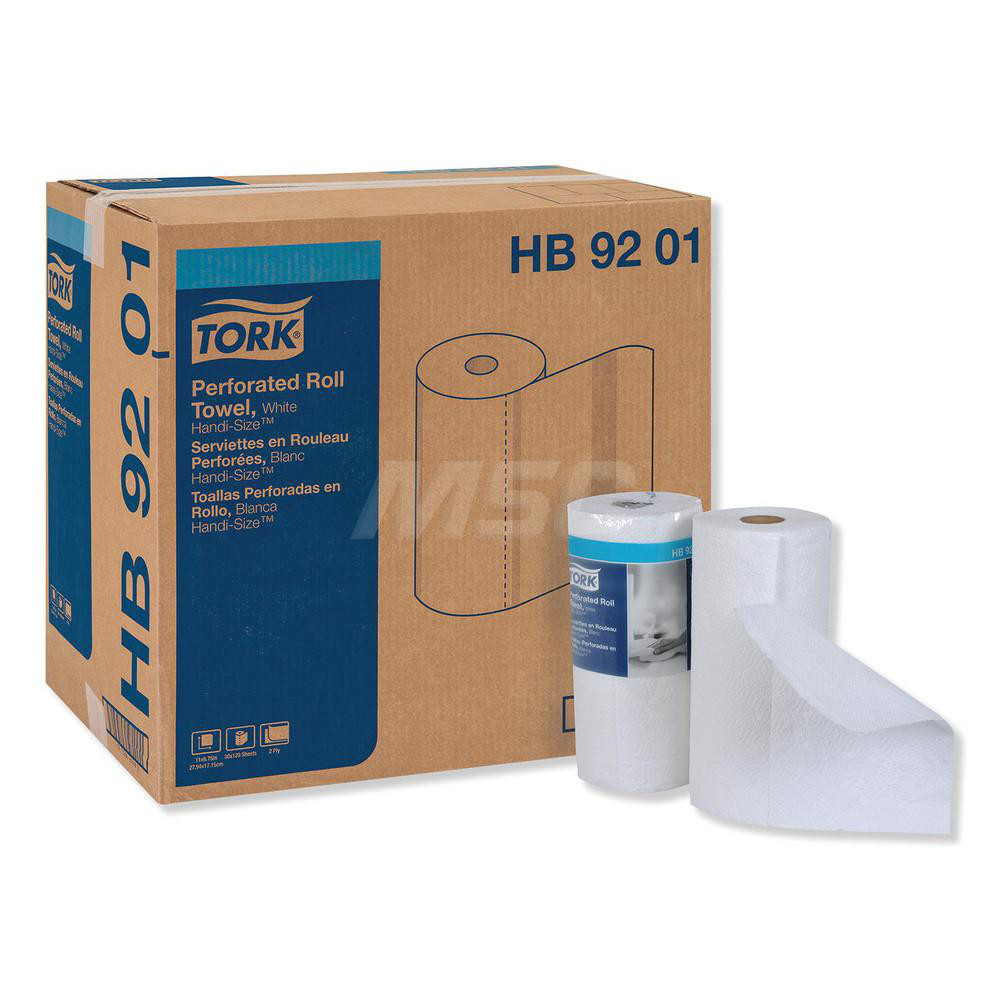 Tork Paper Towels: Perforated Roll, Roll, 2 Ply, Recycled Fiber, White - TRKHB9201