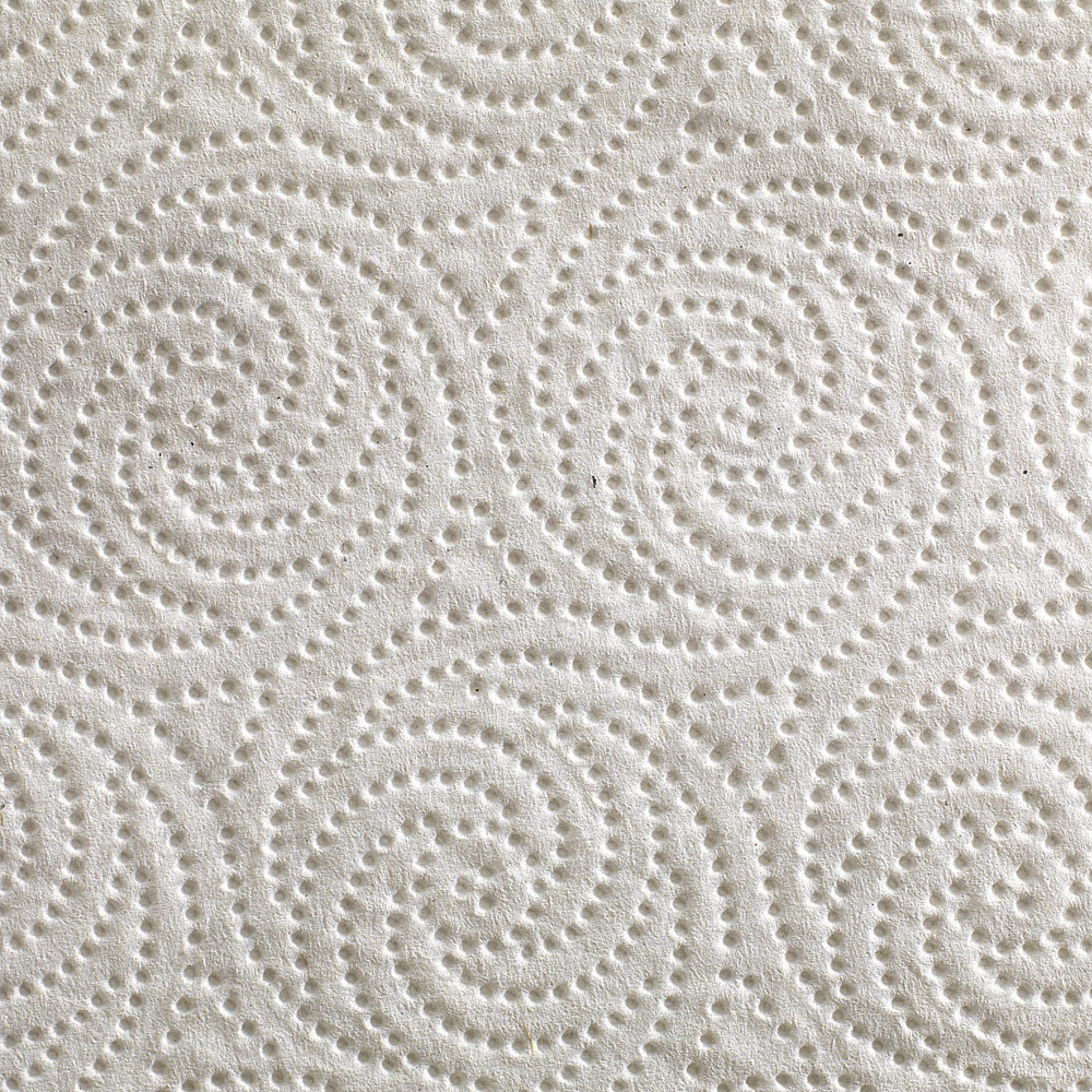 Georgia Pacific Pacific Blue Select 2-Ply Perforated Paper Towel Roll (Previously Preference), White - 27385