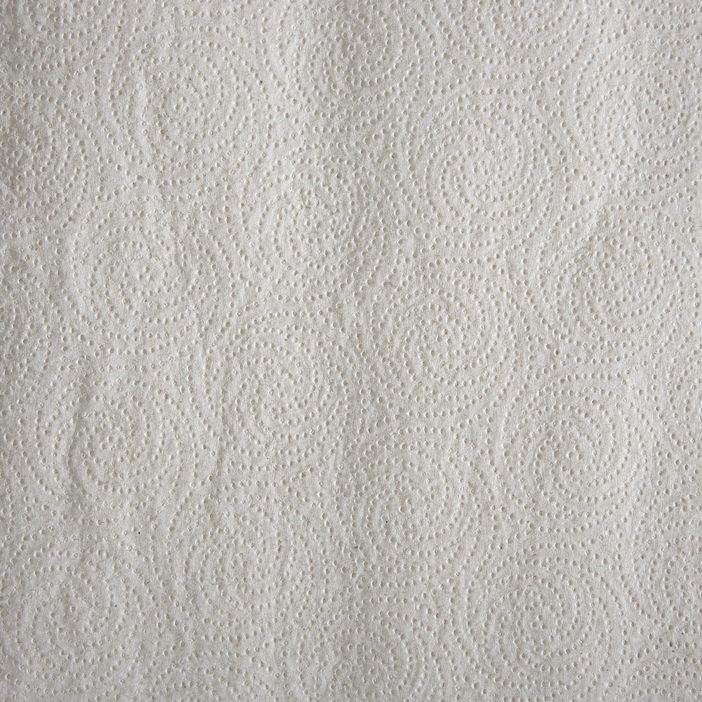 Georgia Pacific Pacific Blue Basic 2-Ply Recycled Perforated Paper Roll Towel (Previously Envision), Brown - 28290