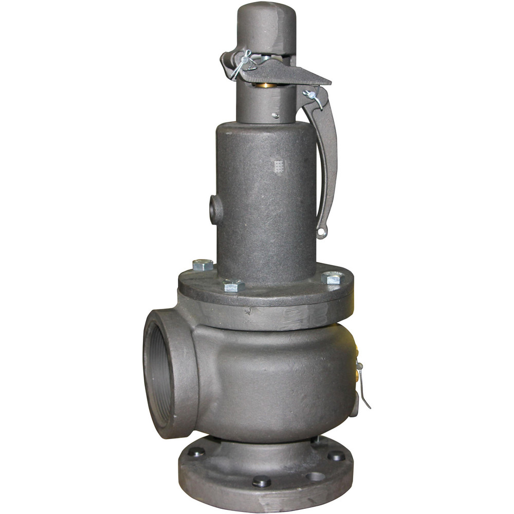 Apollo® Safety Relief Valve: 3" Inlet, 40 Max psi - 119MKAAMAA0040