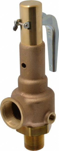Conbraco High Pressure Safety Relief Valve: 1" Inlet, 100 Max psi - 19KFEA100