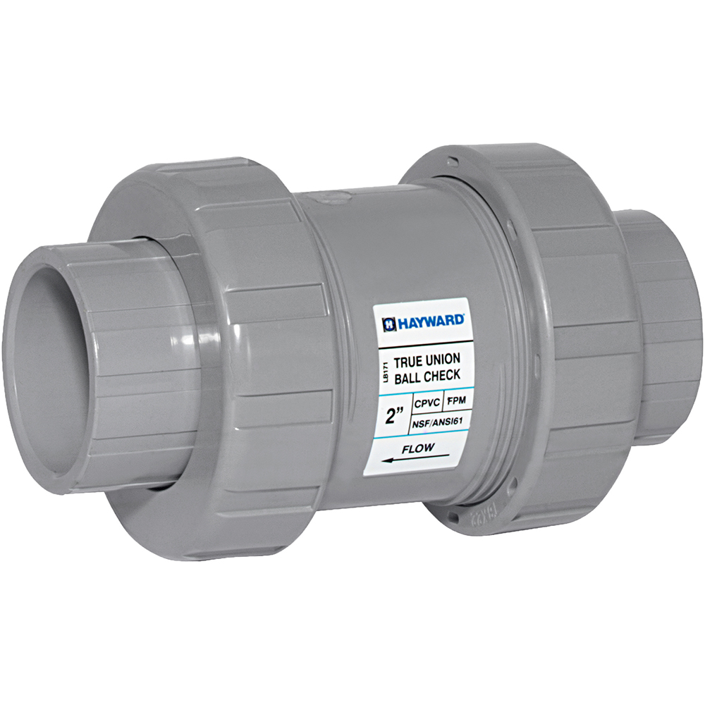Guardian Worldwide Check Valve: 2-1/2" Pipe - 06H041N01212