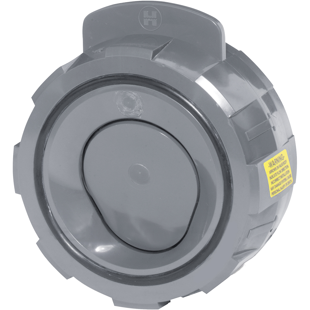 Guardian Worldwide Check Valve: 2-1/2" Pipe - 06H041N01212