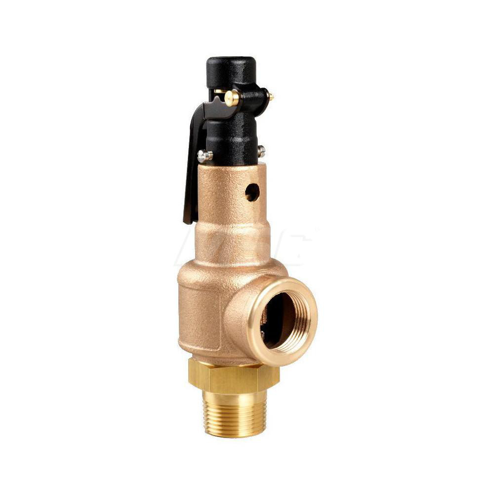 Apollo® Safety Relief Valve: 1" Inlet, 100 Max psi - 29402A100
