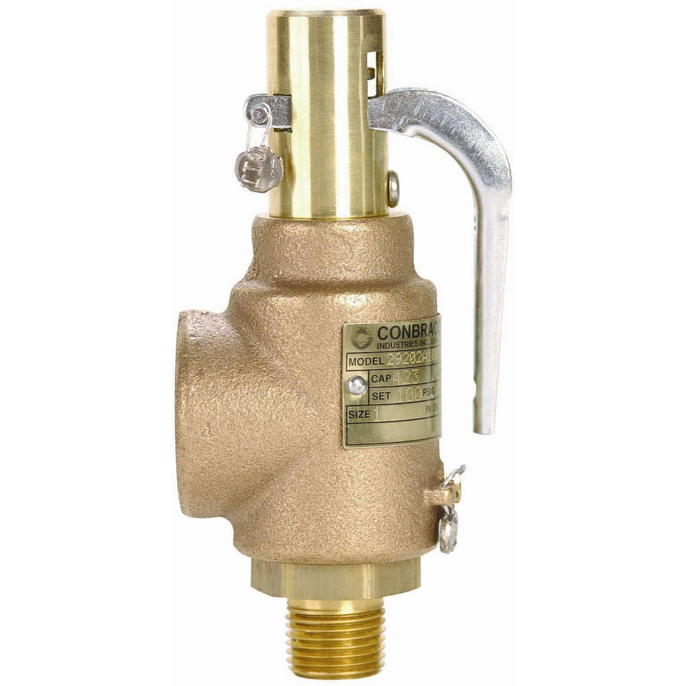Apollo® Safety Relief Valve: 1" Inlet, 100 Max psi - 29402A100