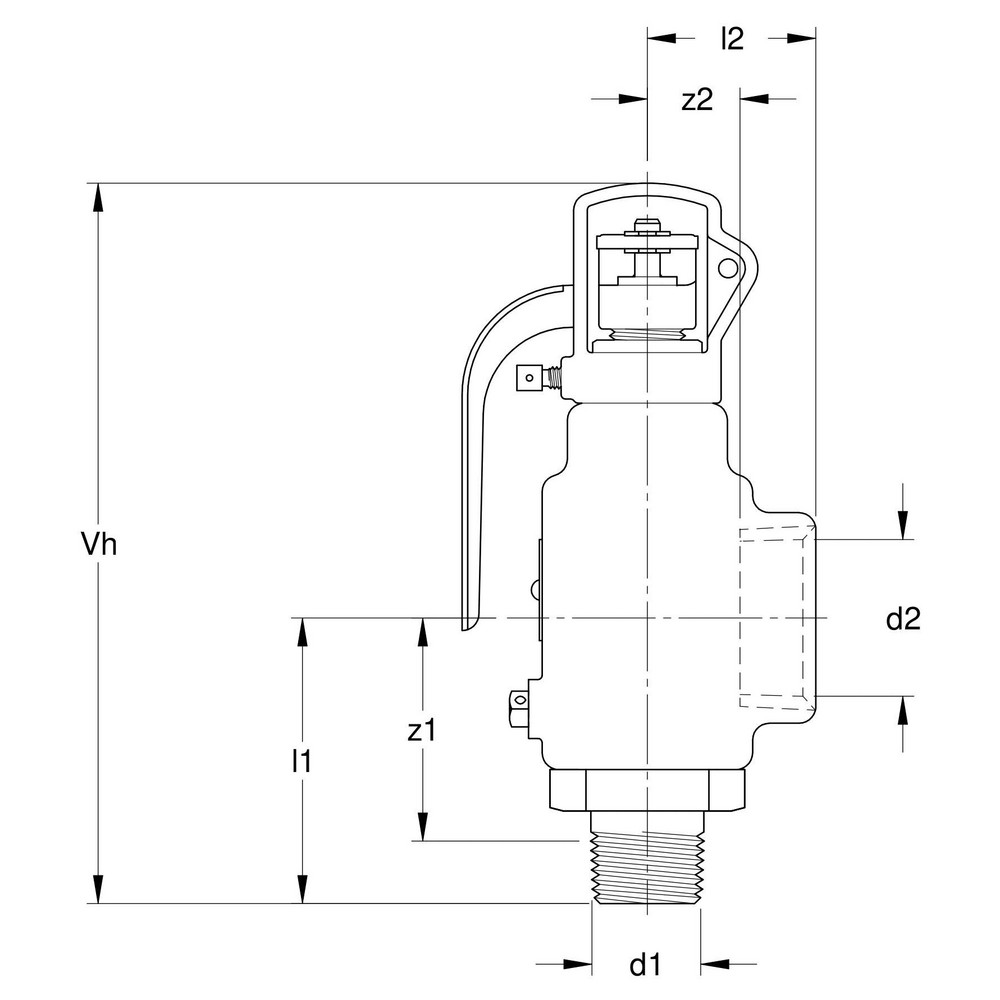 Apollo® Safety Relief Valve: 1" Inlet, 100 Max psi - 29402A100