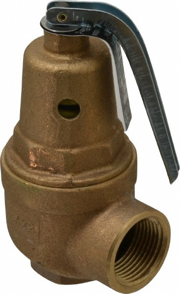 Control Devices ASME Safety Relief Valve: 1/4" Inlet, 89 CFM, 100 Max psi - SA25-1A100