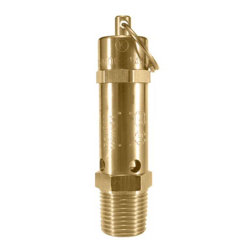 Hayward Flow Control Pressure Relief Valve: 2" Inlet, 150 Max psi - RV2200T