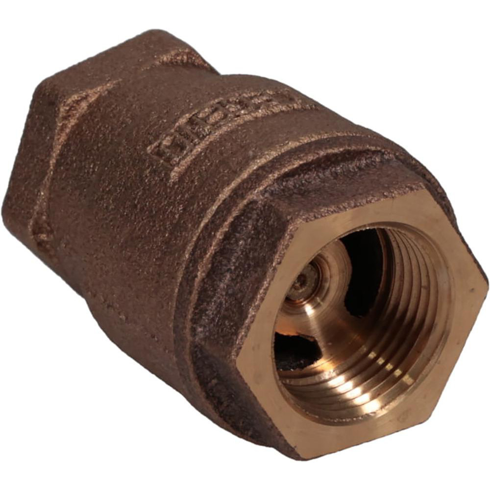 Little Giant® Pumps Check Valve: 2" Pipe - 940022