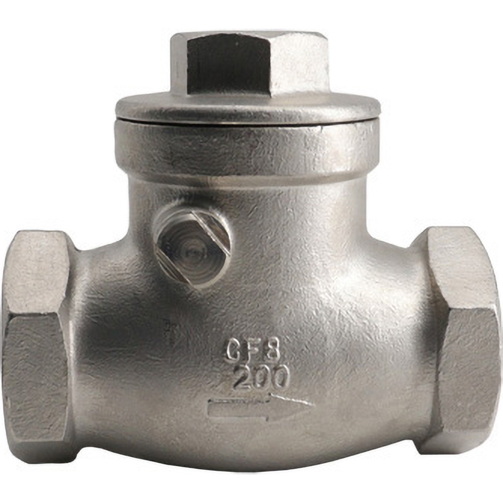 Guardian Worldwide Check Valve: 2" Pipe - 06H051N03020