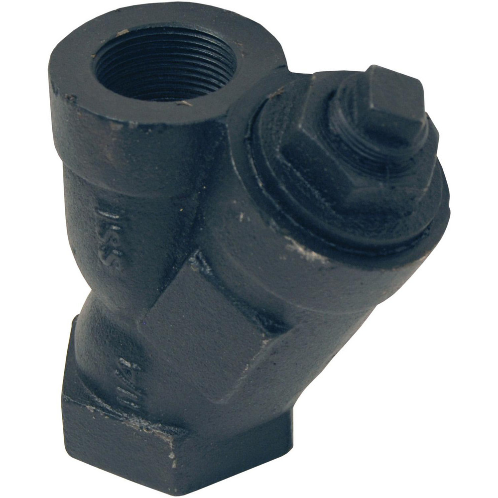 Merit Brass 1/2" Pipe, FNPT x FNPT Ends, Stainless Steel Y-Strainer - WYE-08