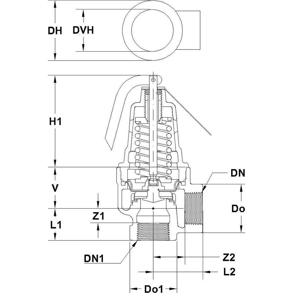 Apollo® Hot Water Safety Relief Valve: 1" Inlet, 125 Max psi - 1060525