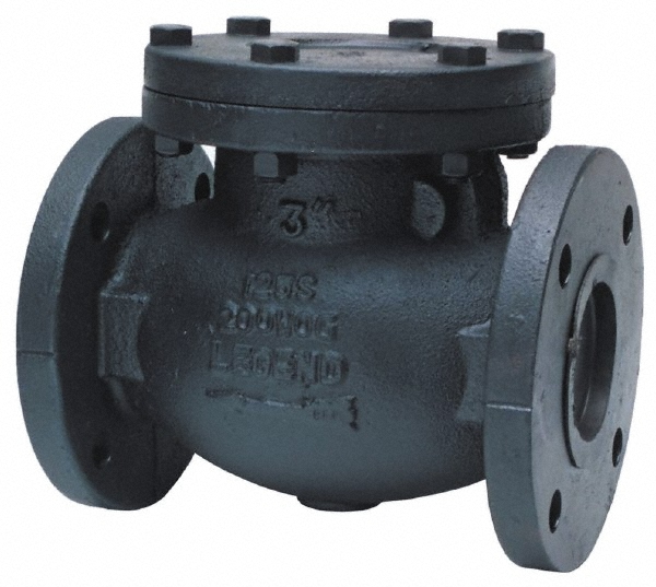 Legend Valve Check Valve: 8" Pipe, 125 psi WSP - 116-207
