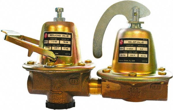 Bell & Gossett Reducing Valve Relief Valve: 3/4" Inlet, 125 Max psi - 110196LF