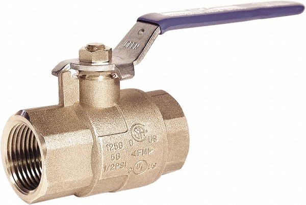 Value Collection 1-Way Manual Ball Valve: 1/4" Pipe, Full Port - S95B45N