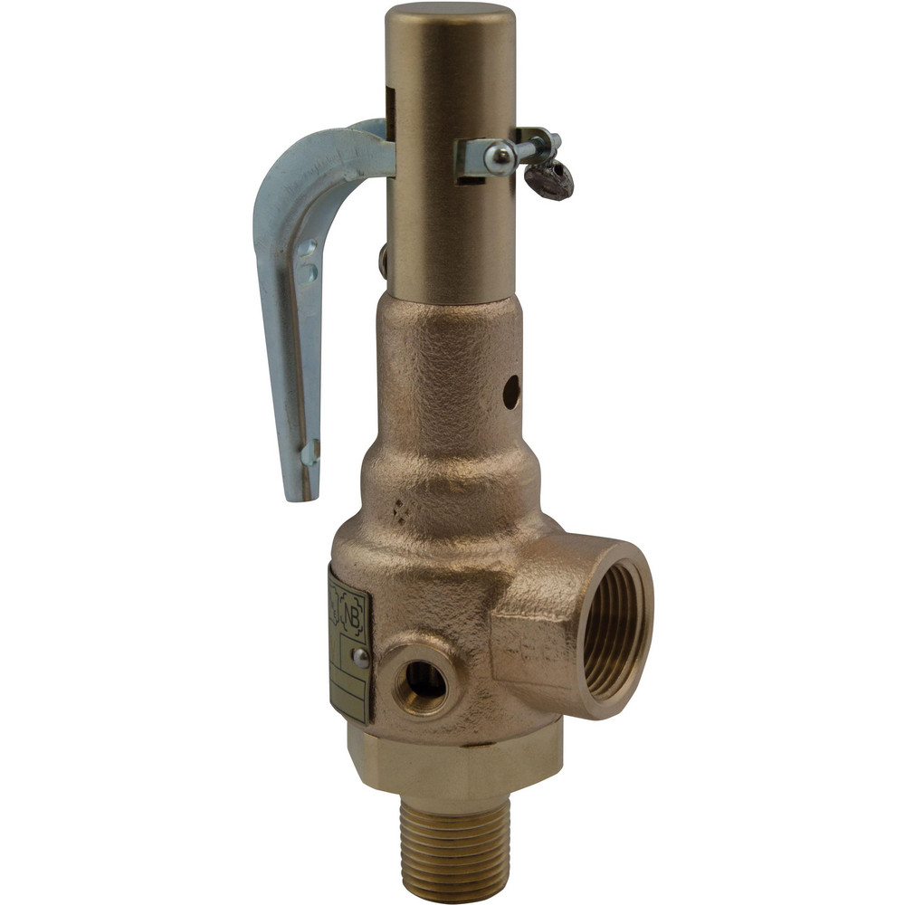 Apollo® Safety Relief Valve: 2" Inlet, 150 Max psi - 19MJHK150
