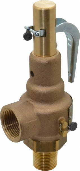 Control Devices ASME Safety Relief Valve: 1/4" Inlet, 34 CFM, 100 Max psi - SP25-1A100