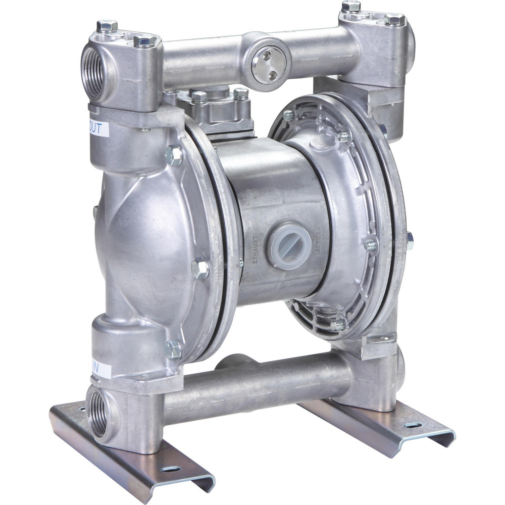 BONOMI Check Valve: 1/4" Pipe - S800 1/4