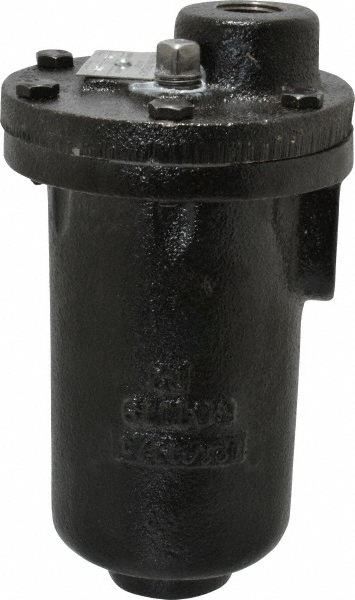 Hoffman Speciality 3/4" NPT Inlet, 1/2" NPT Outlet, 250 Max psi, Cast Iron Water Vent - 401494