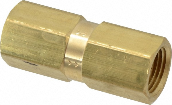 Specialty Mfr Check Valve: 1/4" Pipe - 6490090