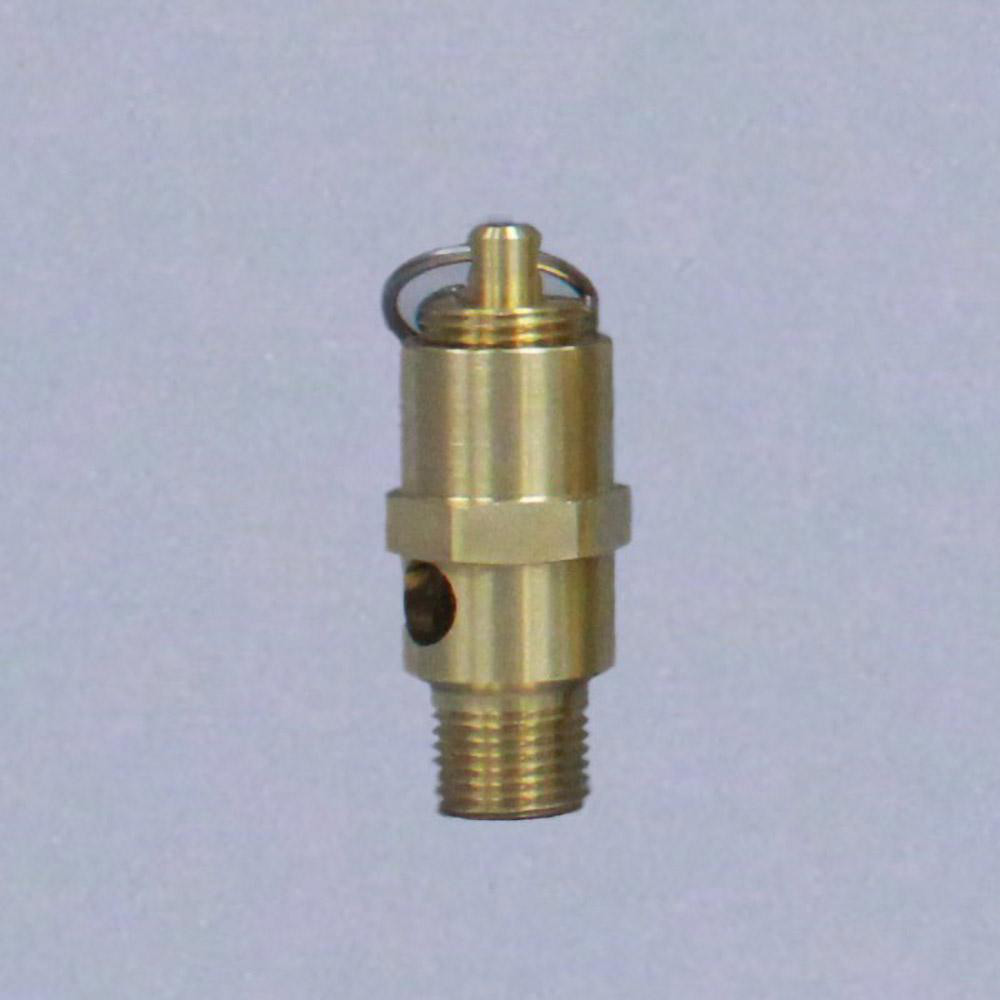 Hayward Flow Control Pressure Relief Valve: 2" Inlet, 150 Max psi - RV2200TE