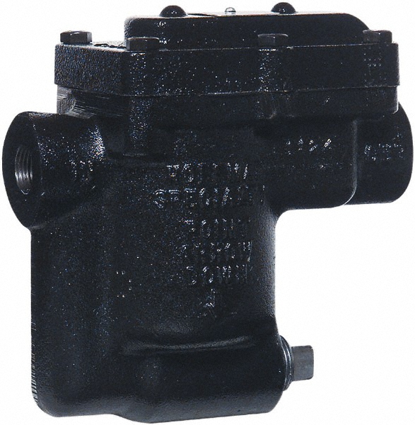 Hoffman Speciality 1/2 Male" Pipe, Brass Thermostatic Steam Trap - 402002