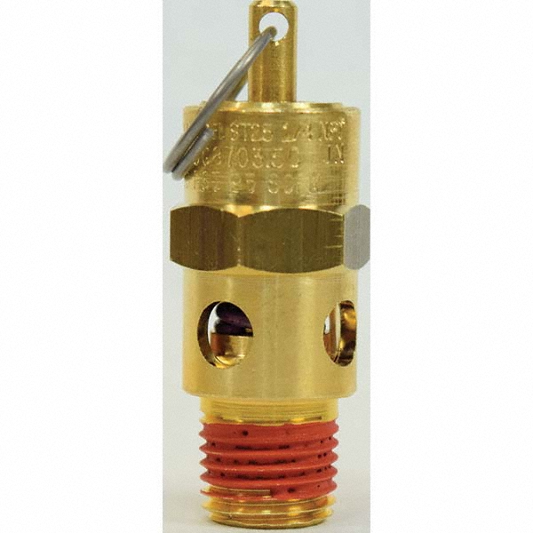 Bell & Gossett Dual Control Regulate and  Relief Valve: 1/2" Inlet, 125 Max psi - 110199LF