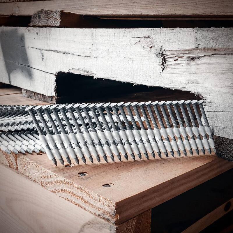 Freeman 2 in. x 0.113 in. 21-Degree Plastic Collated Galvanized Ring Shank Framing Nails (2000-Count) - FR.113-2GRS