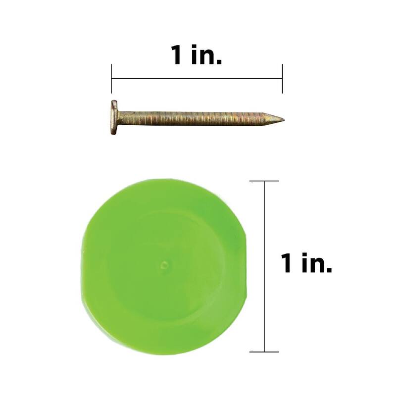 Stinger NailPac 1 in. x 14-Gauge 15 degree 304 Stainless Steel Collated Roofing Nail with Plastic Cap (2000-Pack) - 0136264