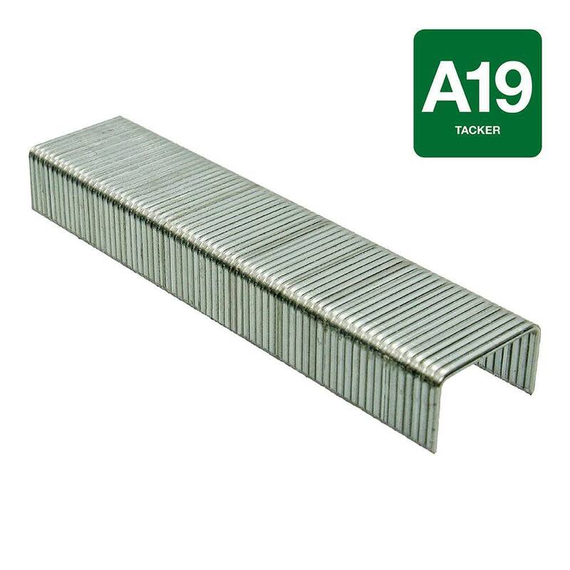 Grip-Rite 1/4 in. x 3/8 in. Adhesive Collated Electrogalvanized A19-Style Tacker Staples 5000 per Box - GRA1914