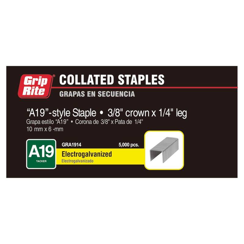 Grip-Rite 1/4 in. x 3/8 in. Adhesive Collated Electrogalvanized A19-Style Tacker Staples 5000 per Box - GRA1914