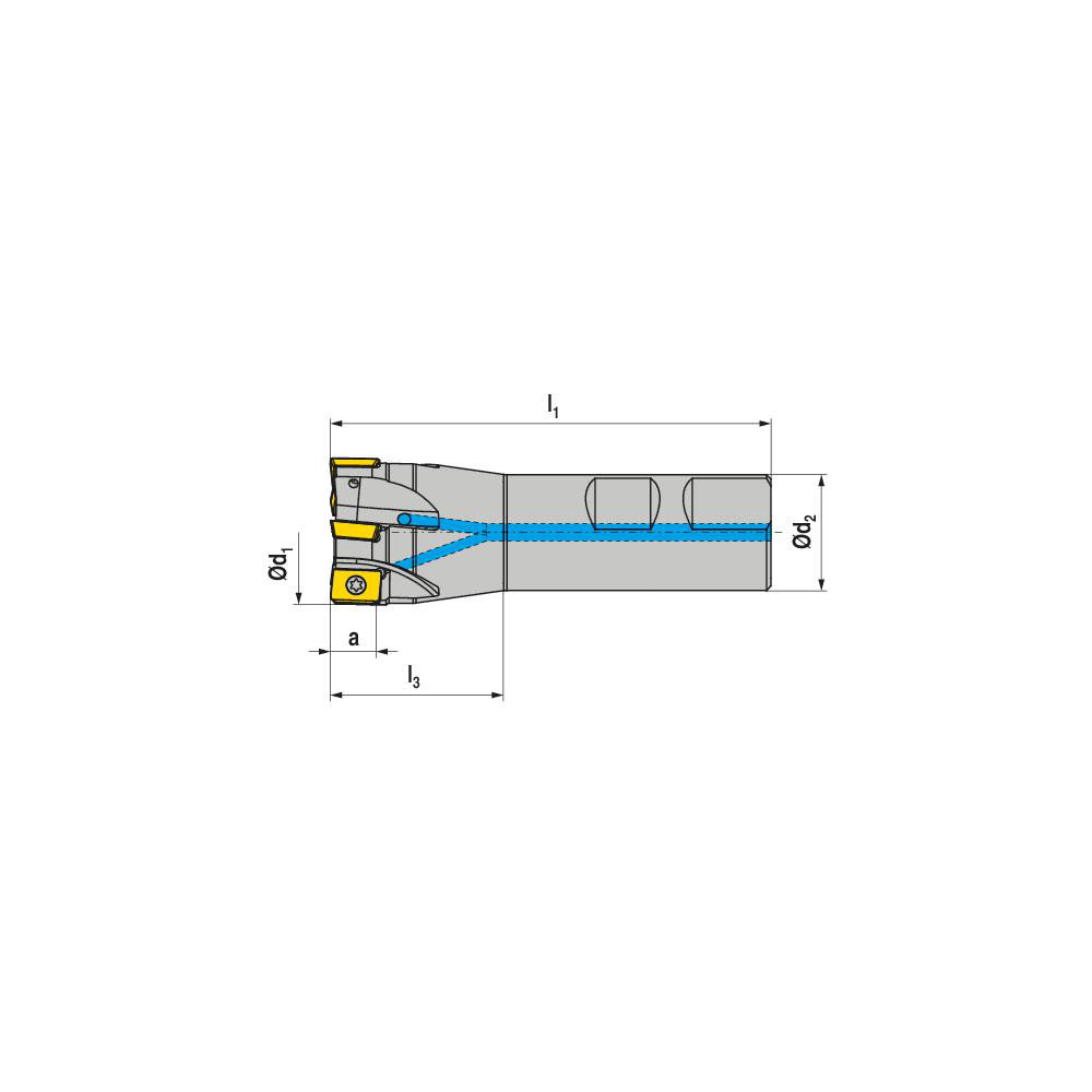Walter Indexable Square-Shoulder End Mill: M4130-020-W20-03-08, 20 mm Cut Dia, 8 mm Max Depth of Cut, 20 mm Dia Weldon Flat Shank - 6952593